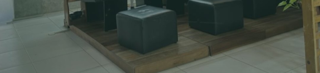 Lavatórios do studio com plantas e luz natural